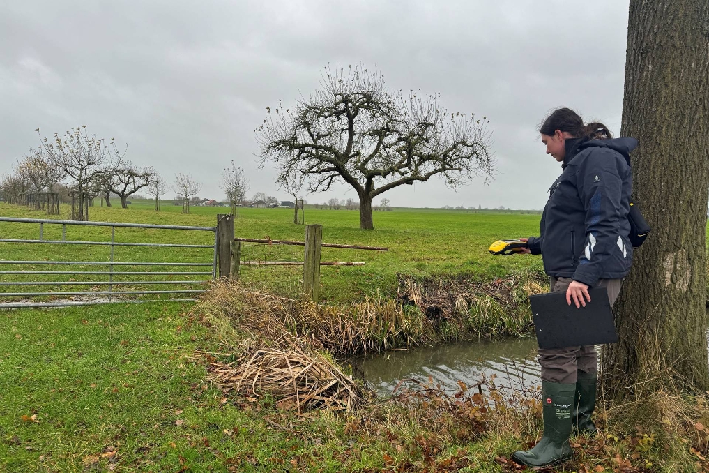 Inspecteur GLB Priscilla bij de NVWA legt haar bevindingen vast met haar meetapparatuur